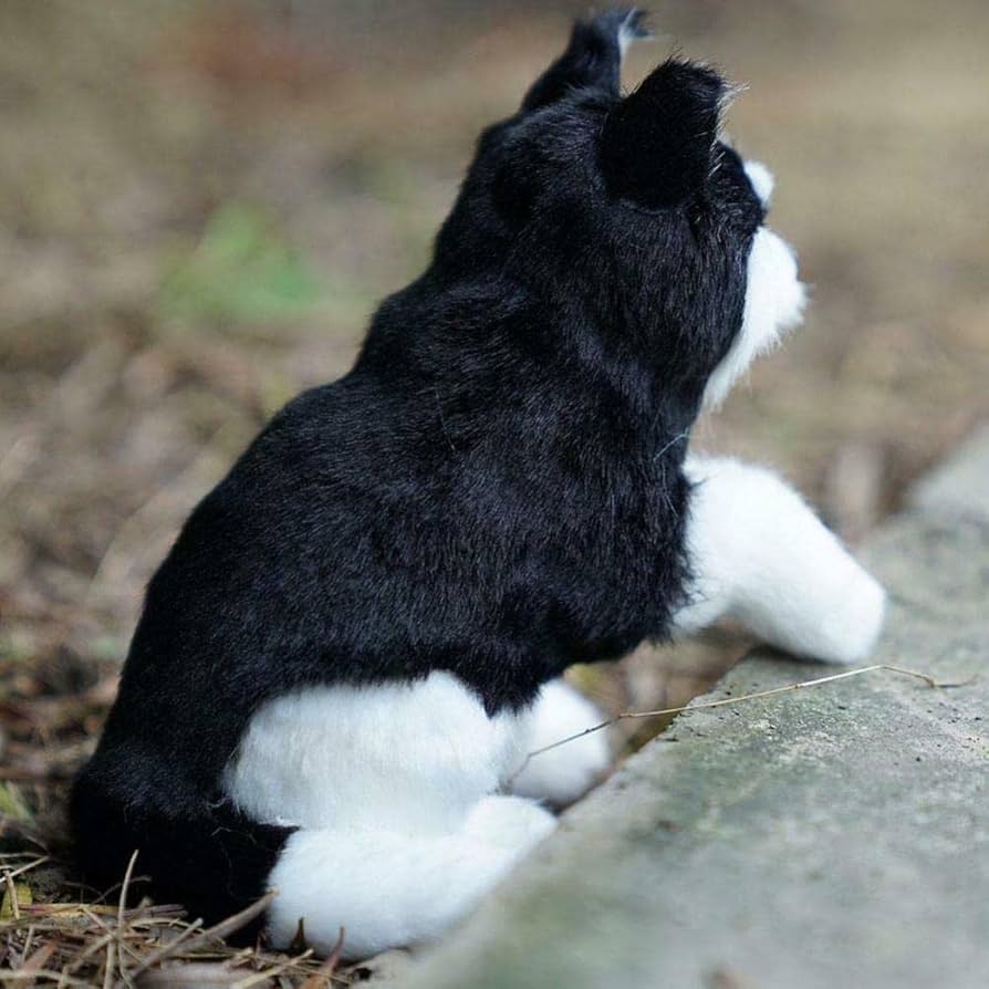 シベリアンハスキー　ぬいぐるみ 受注商品】ぬいぐるみ・シベリアンハスキー（伏せ） | KOESEN